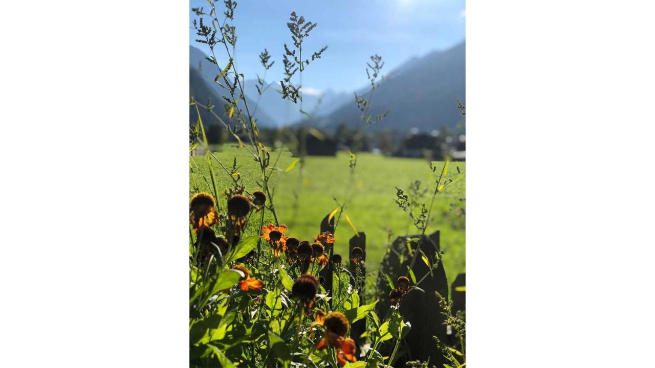 Gastehaus Haus Barbara Lejlighed Neustift im Stubaital Eksteriør billede